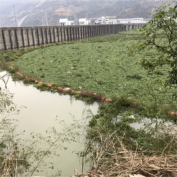 水上白色垃圾水浮莲水草废渣拦截专用塑料拦污排拦污漂pe浮筒