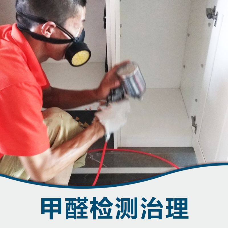 甲醛檢測(cè)治理圖片/甲醛檢測(cè)治理樣板圖 (2)