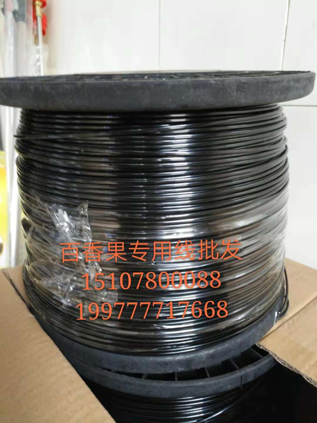 百香果圖片/百香果樣板圖 (1)