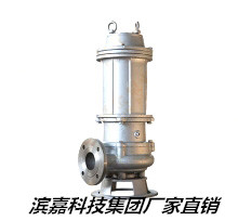 不銹鋼潛水排污泵圖片/不銹鋼潛水排污泵樣板圖 (1)