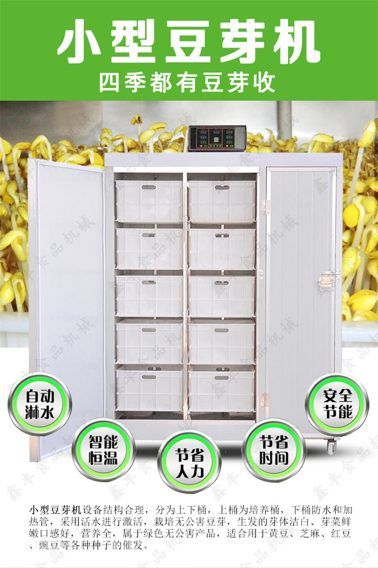 豆芽圖片/豆芽樣板圖 (4)