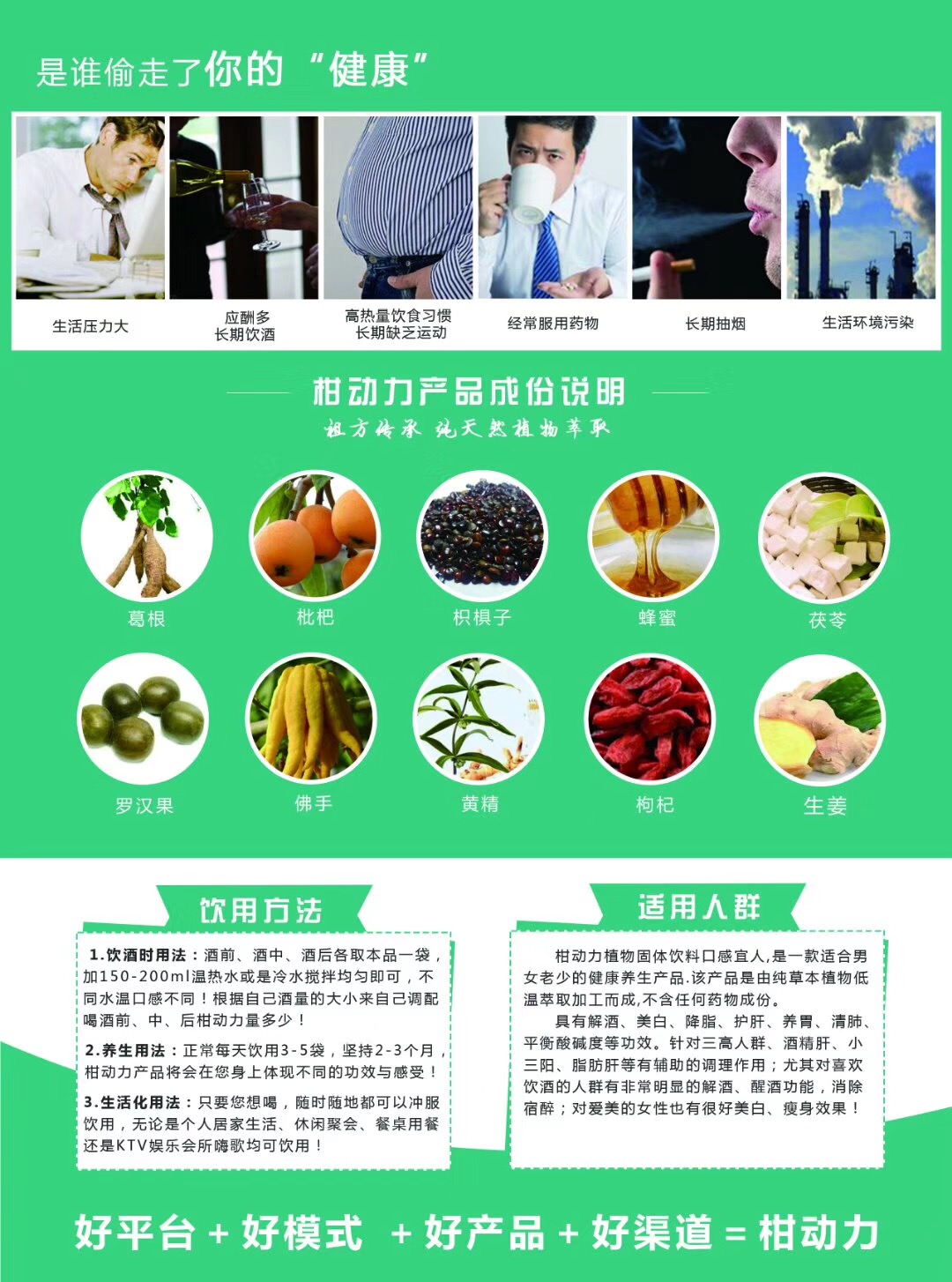 柑動(dòng)力不僅僅只解酒圖片/柑動(dòng)力不僅僅只解酒樣板圖 (4)