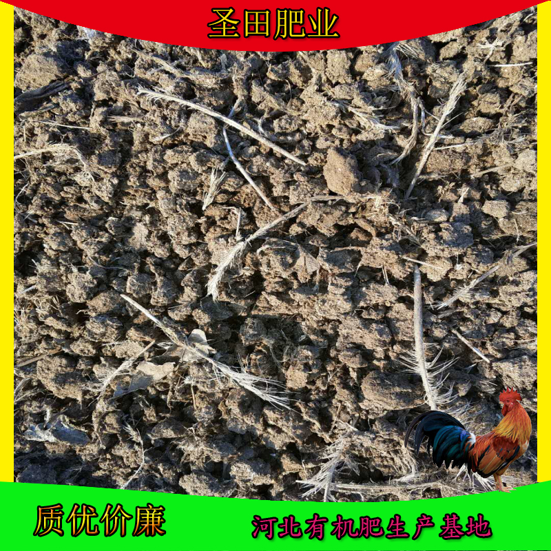 發(fā)酵雞糞肥圖片/發(fā)酵雞糞肥樣板圖 (2)