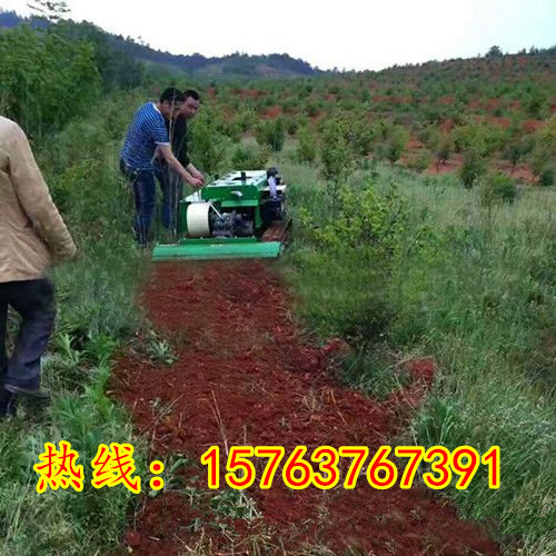 三農(nóng)好幫手 高智能履帶行走式開溝 小型葡萄樹深耕機(jī) 履帶式施肥旋耕機(jī)廠家直銷