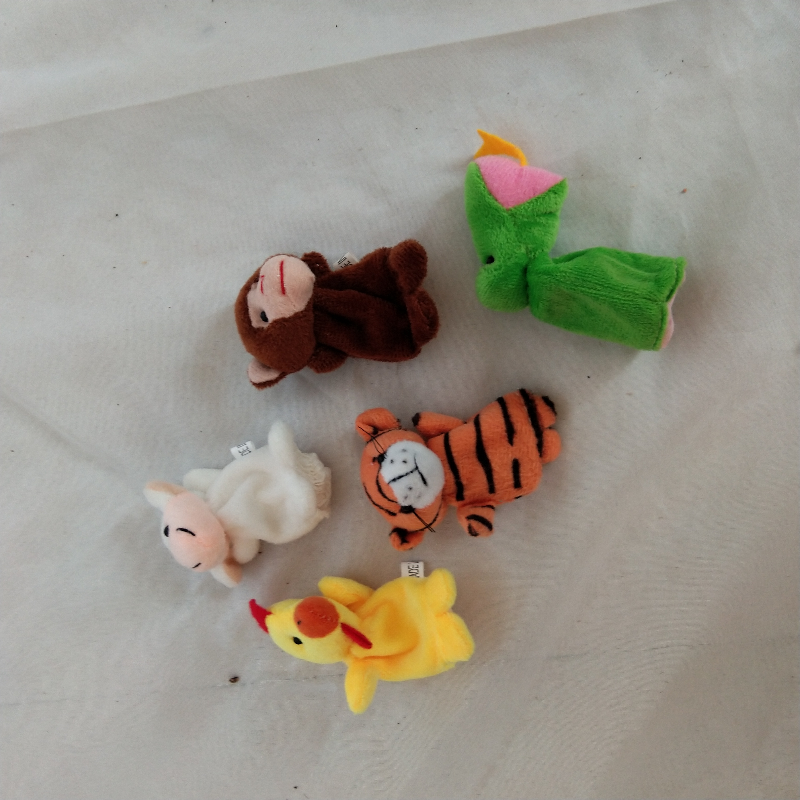 毛絨公仔指偶圖片/毛絨公仔指偶樣板圖 (3)