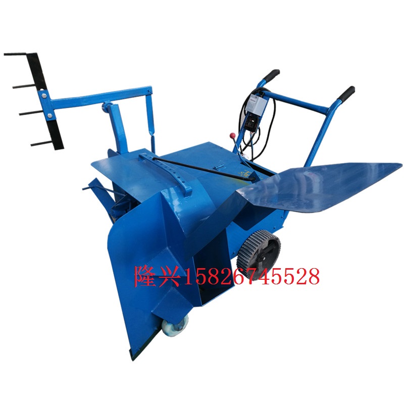 食用菌圖片/食用菌樣板圖 (1)