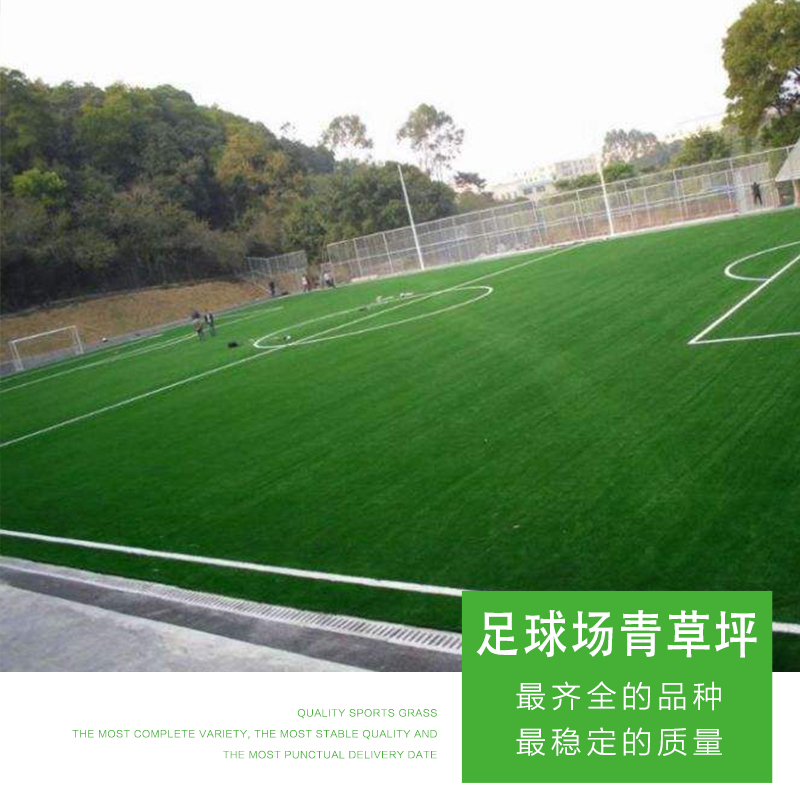 足球場青草坪圖片/足球場青草坪樣板圖 (3)