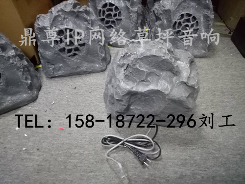 IP網(wǎng)絡(luò)草坪音箱 IP網(wǎng)絡(luò)廣播定壓音響廠家 IP網(wǎng)絡(luò)有源草地音響