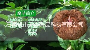 肉制品圖片/肉制品樣板圖 (3)