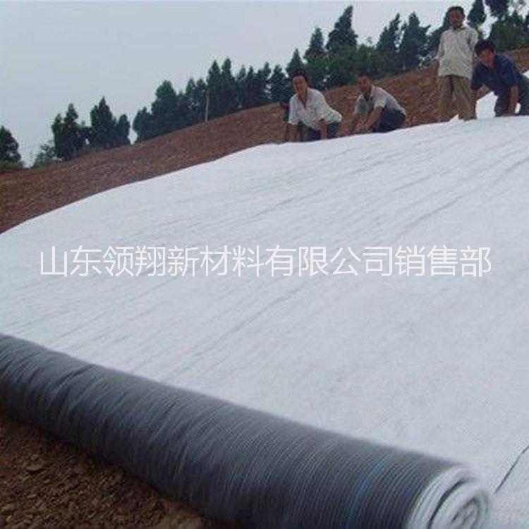 膨潤土防水圖片/膨潤土防水樣板圖 (2)