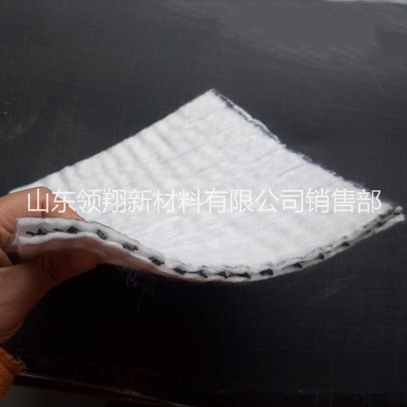復合土工排水網(wǎng)圖片/復合土工排水網(wǎng)樣板圖 (3)