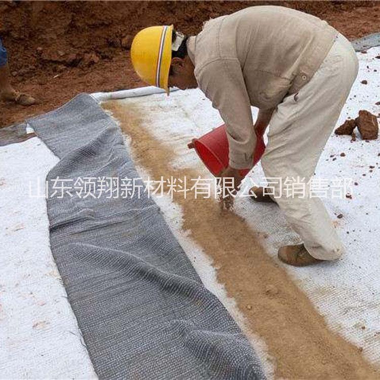 膨润防水毯 防水毯生产厂家 防水毯直销 防水毯报价 防水毯哪家好 防水毯供应商图片