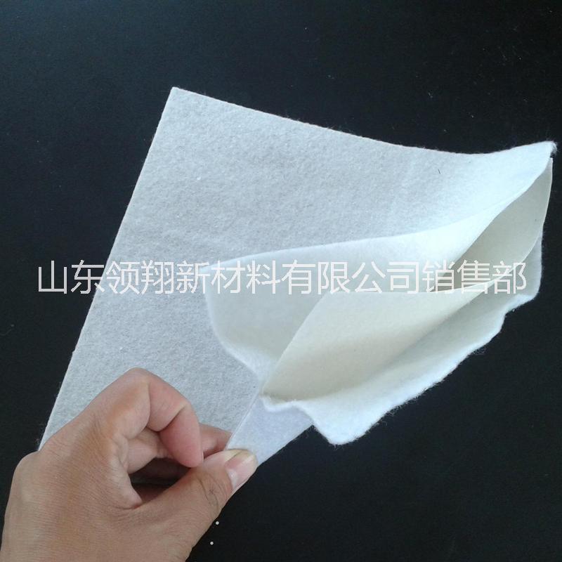復合土工膜圖片/復合土工膜樣板圖 (3)