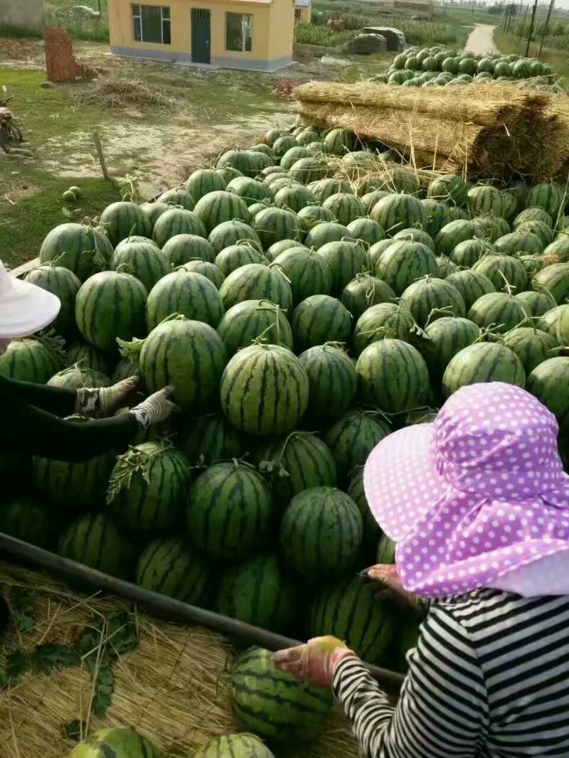 什么地方圖片/什么地方樣板圖 (2)