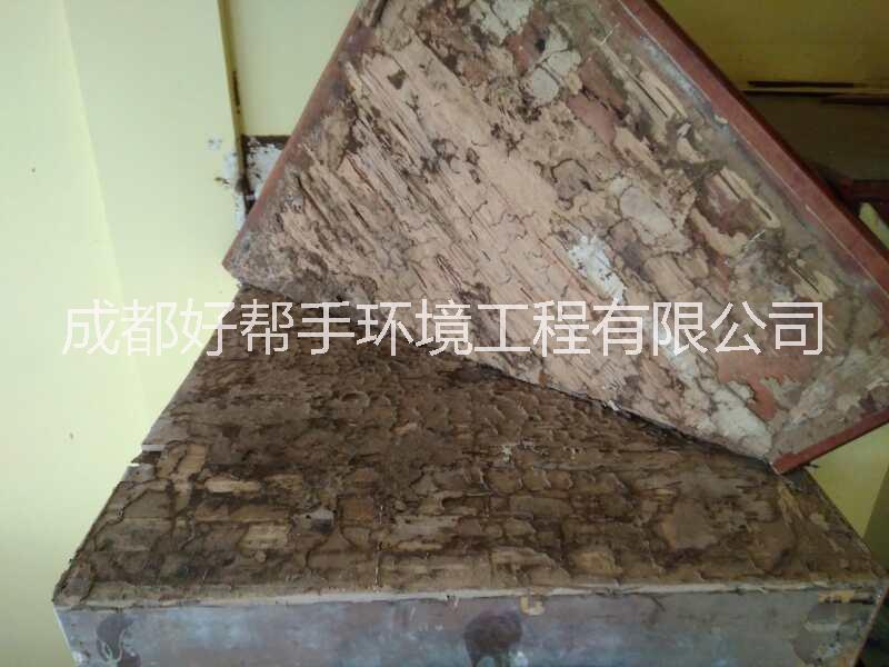 供應(yīng)【滅白蟻公司】仁壽滅白蟻公司、仁壽白蟻防治公司、仁壽滅飛螞蟻公司