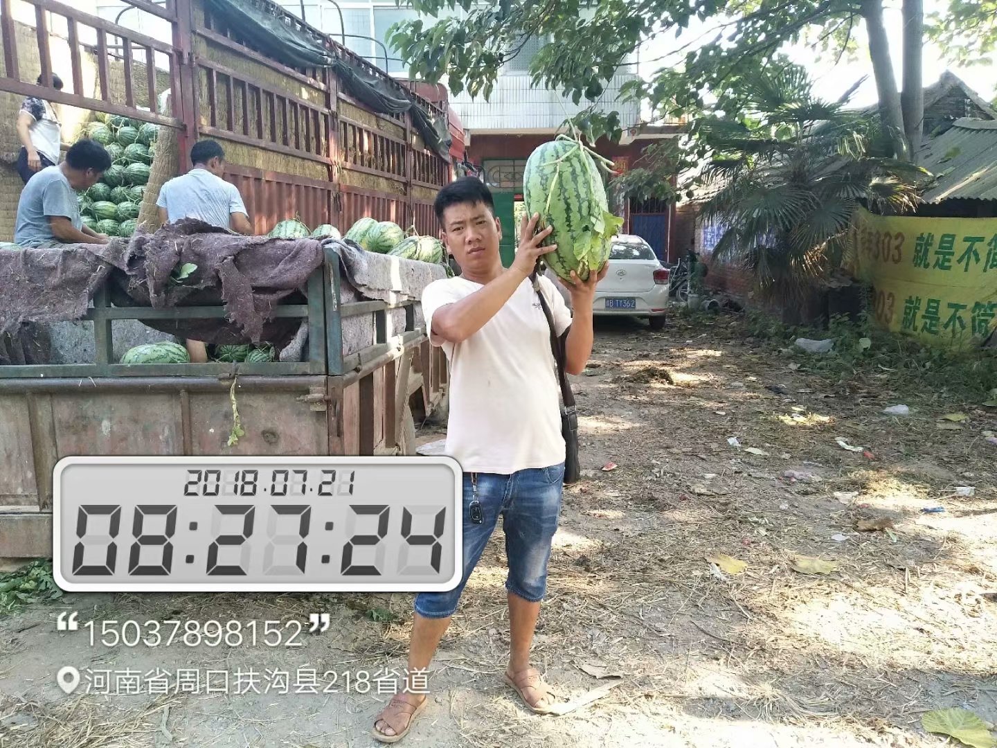 2019年河南開封西瓜產(chǎn)地供應(yīng)商