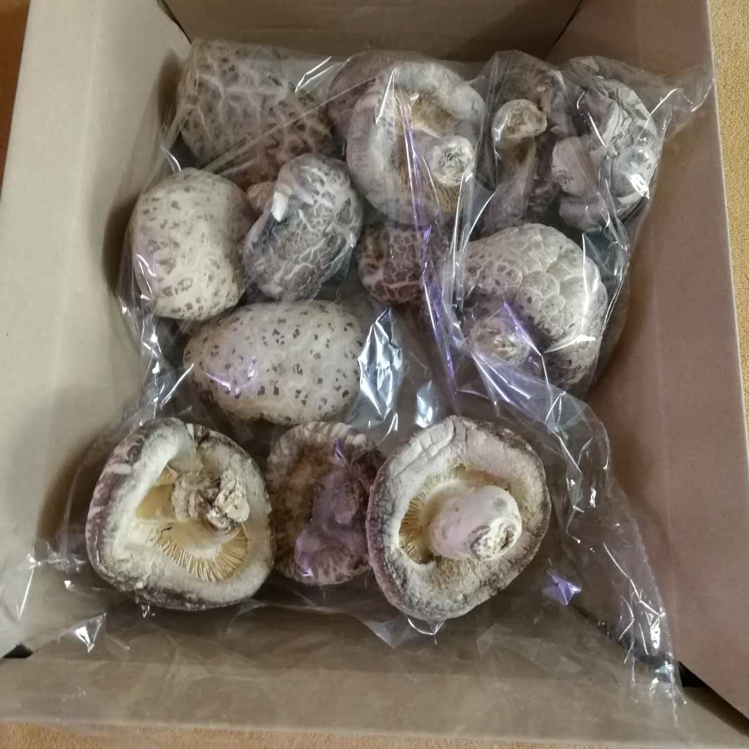 花菇圖片/花菇樣板圖 (2)