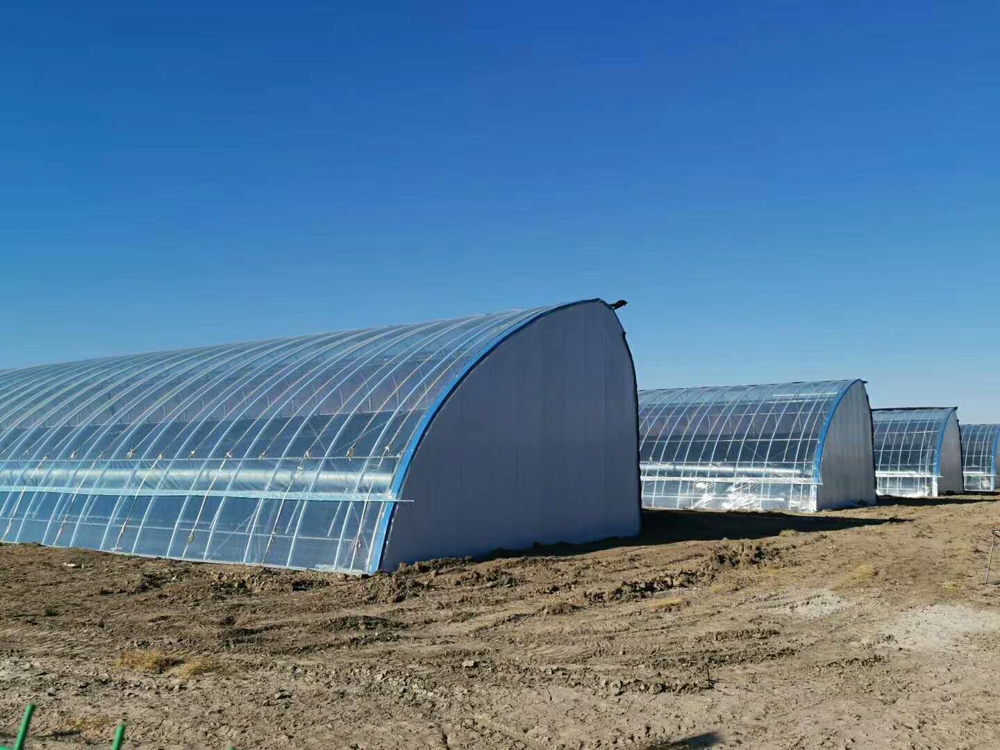 日光溫室圖片/日光溫室樣板圖 (2)