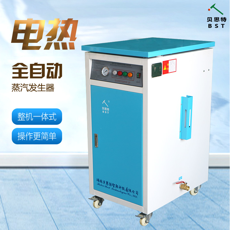 贝思特小型立式蒸饭用36KW电加热蒸汽发生器，36kw电加热锅炉图片