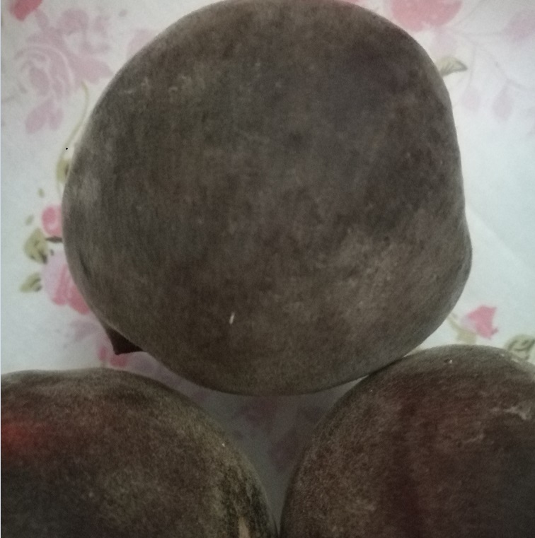 供應(yīng)黑桃種植技術(shù)