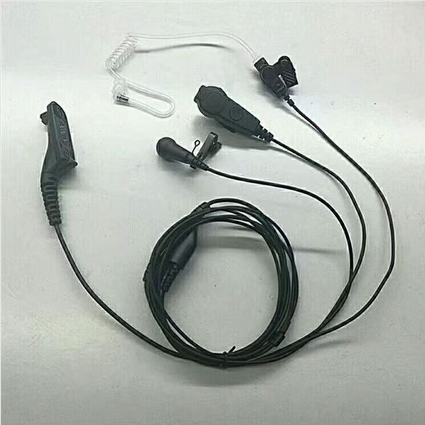 寫頻線圖片/寫頻線樣板圖 (4)