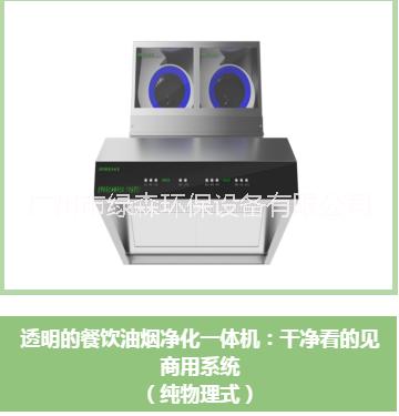 煙罩一體式凈化設(shè)備 廣州免清洗煙罩一體機(jī)廠家 風(fēng)機(jī)凈化一體機(jī)組