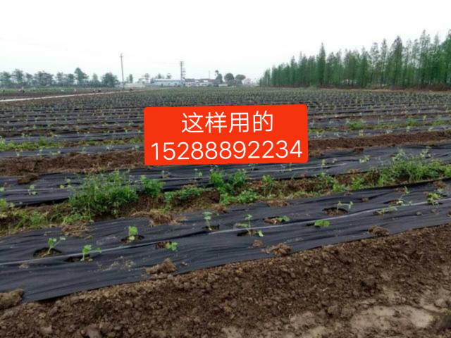 防草布圖片/防草布樣板圖 (3)