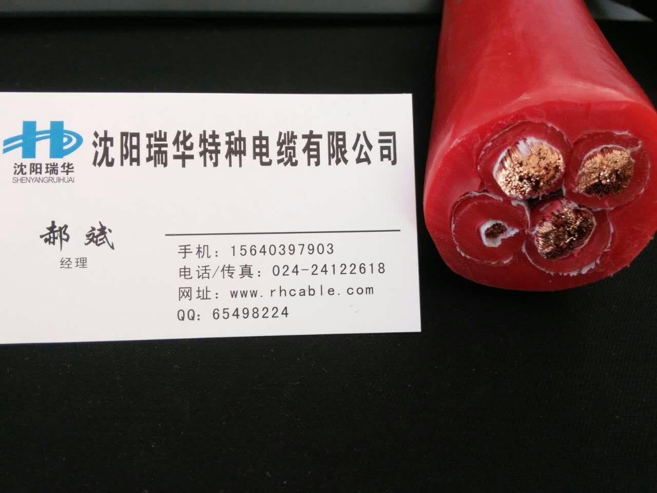耐高溫軟電纜圖片/耐高溫軟電纜樣板圖 (1)