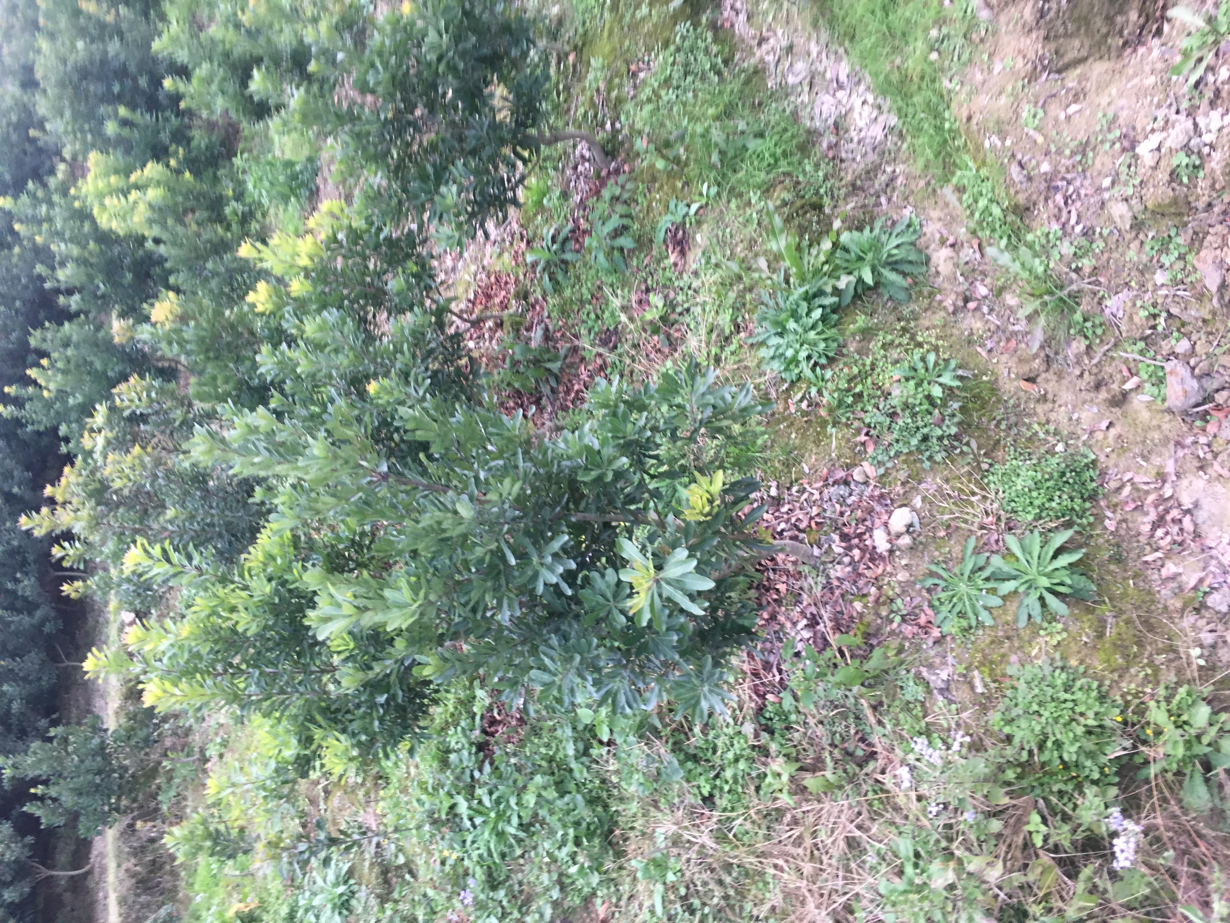 靖州圖片/靖州樣板圖 (2)