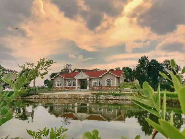 大美居輕鋼別墅圖片/大美居輕鋼別墅樣板圖 (3)