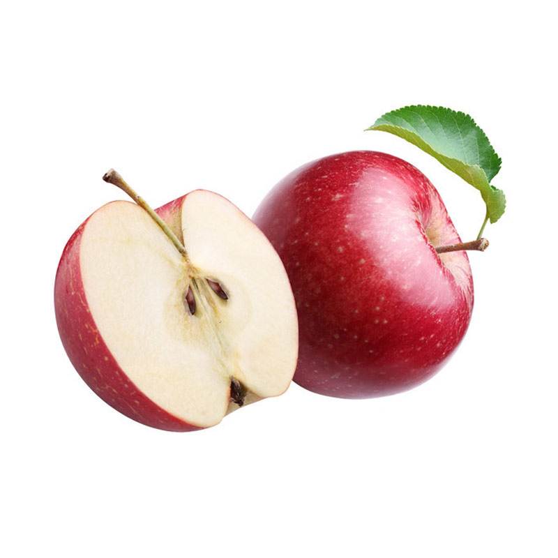 蘋(píng)果圖片/蘋(píng)果樣板圖 (2)