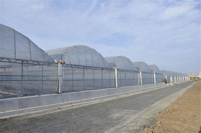 蔬菜大棚廠家 蔬菜大棚價格 連體大棚 溫室大棚