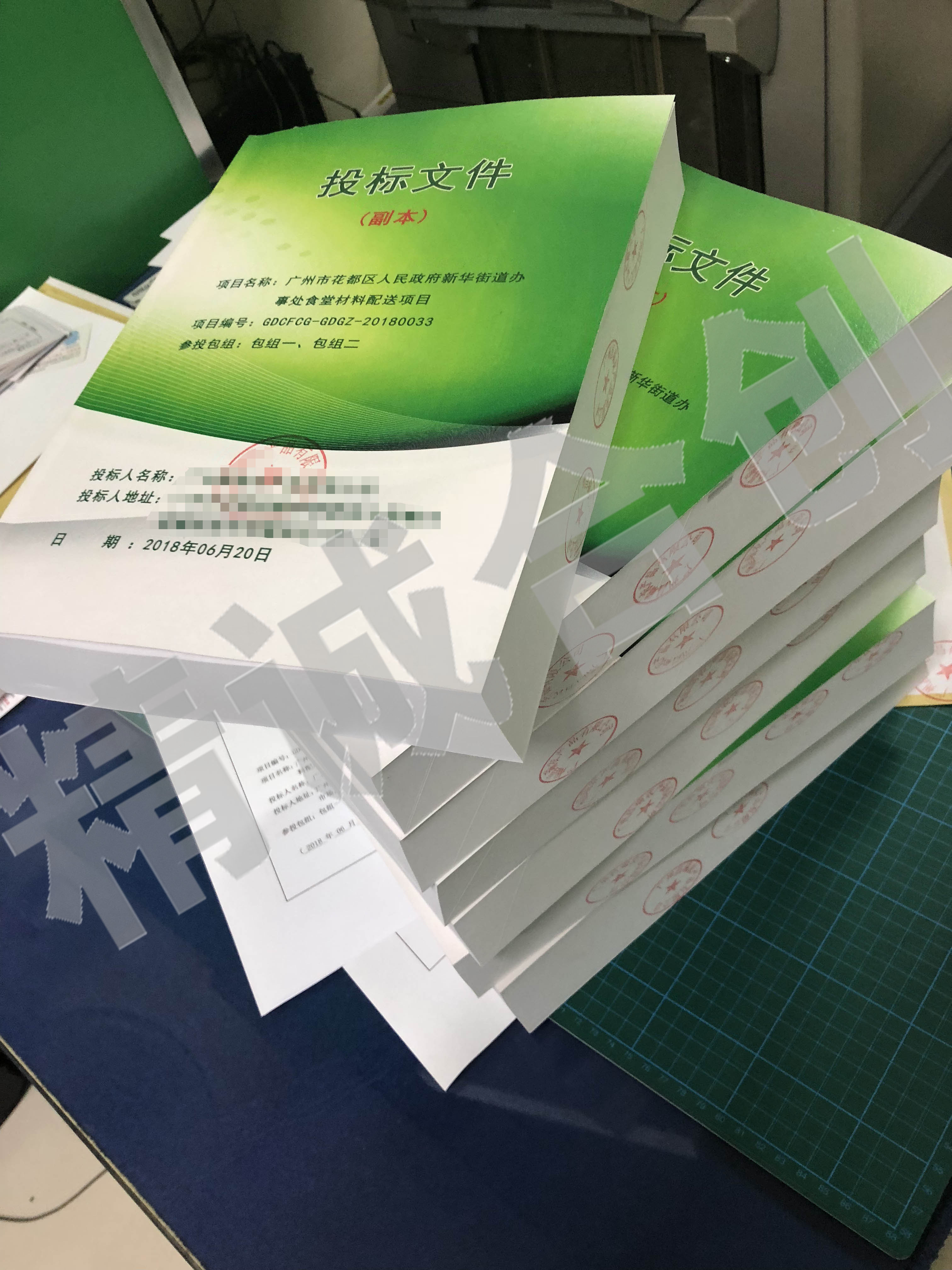 標(biāo)書圖片/標(biāo)書樣板圖 (2)