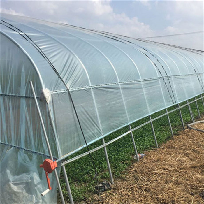 無錫溫室大棚圖片/無錫溫室大棚樣板圖 (2)