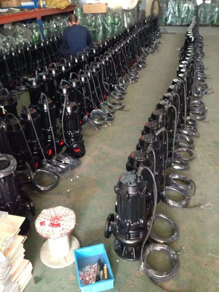 排污泵4圖片/排污泵4樣板圖 (3)