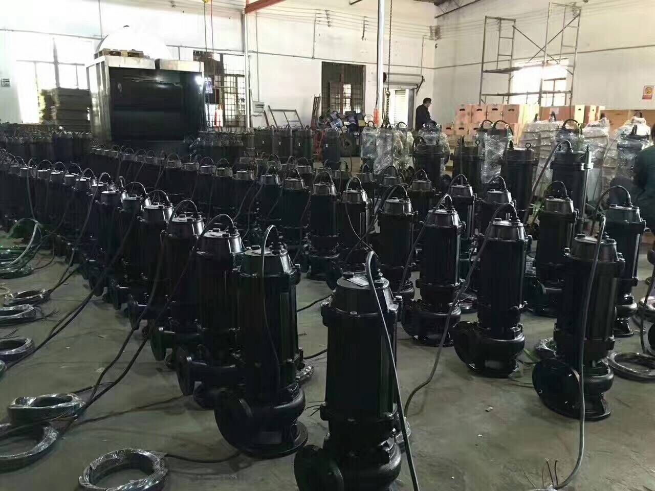 排污泵4圖片/排污泵4樣板圖 (1)