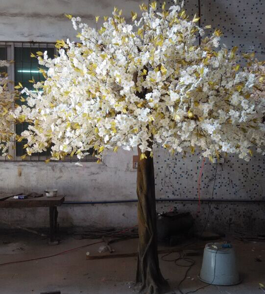 櫻花樹圖片/櫻花樹樣板圖 (3)