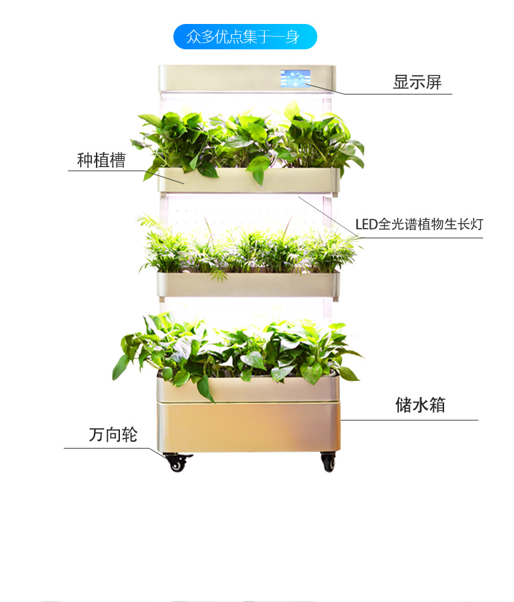 衡水市智能生态消毒净化柜种植生态新概念厂家