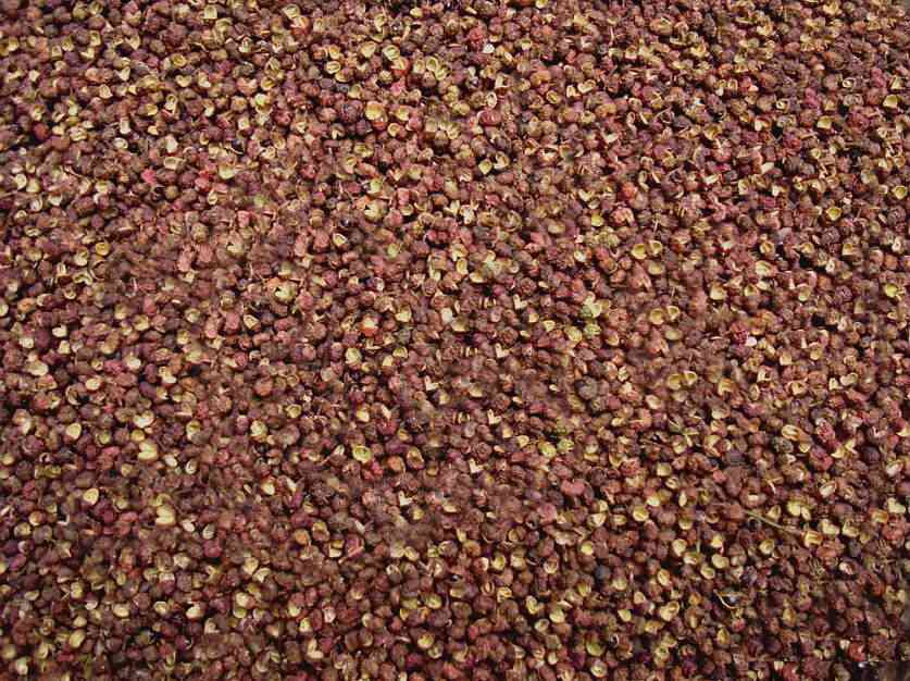 紅花椒特級圖片