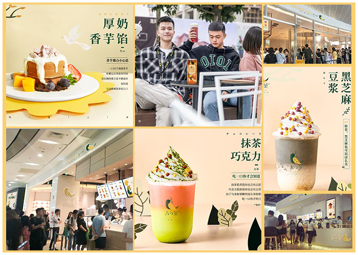 古的茶多少錢圖片/古的茶多少錢樣板圖 (2)