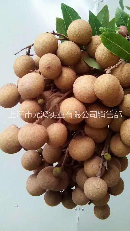 龍眼干廠家圖片