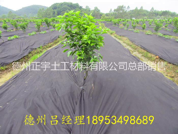 四川圖片/四川樣板圖 (3)