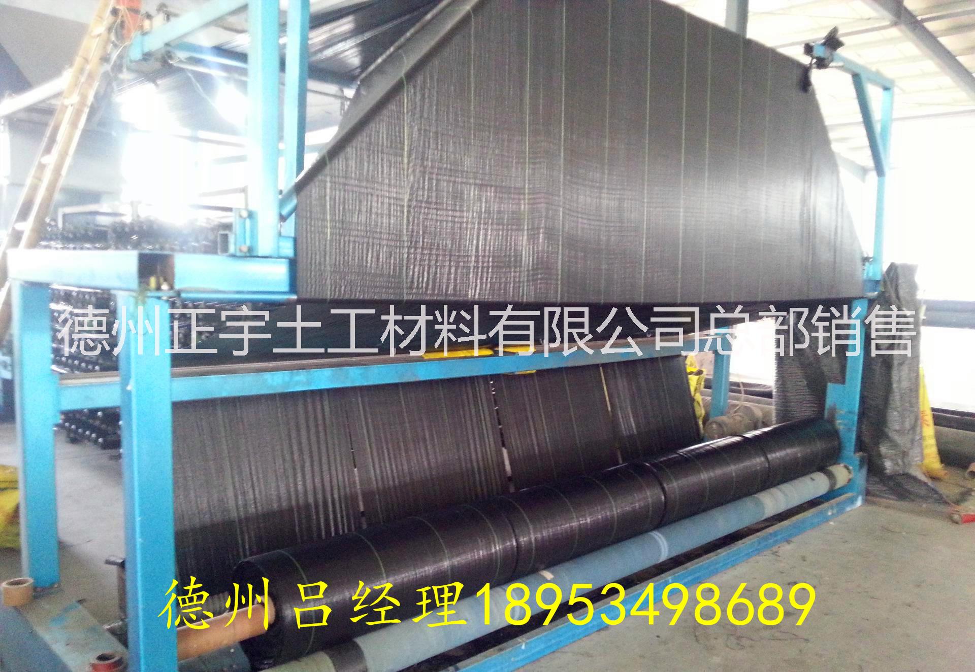 仿真草坪圖片/仿真草坪樣板圖 (3)