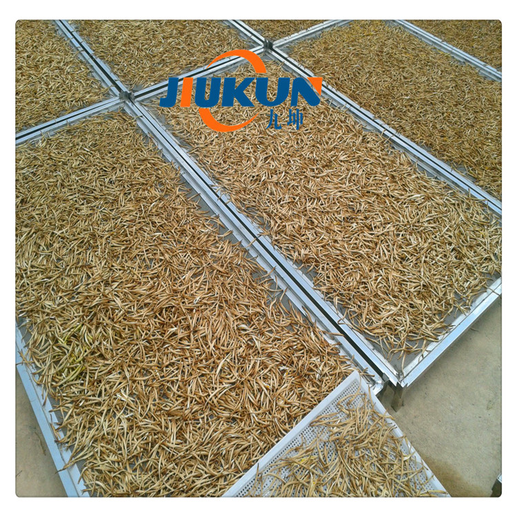 魚飼料蚯蚓干專用沖孔烘干盤圖片/魚飼料蚯蚓干專用沖孔烘干盤樣板圖 (2)