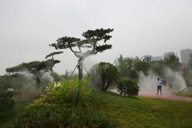 人造霧景觀 冷霧景觀圖片/人造霧景觀 冷霧景觀樣板圖 (1)