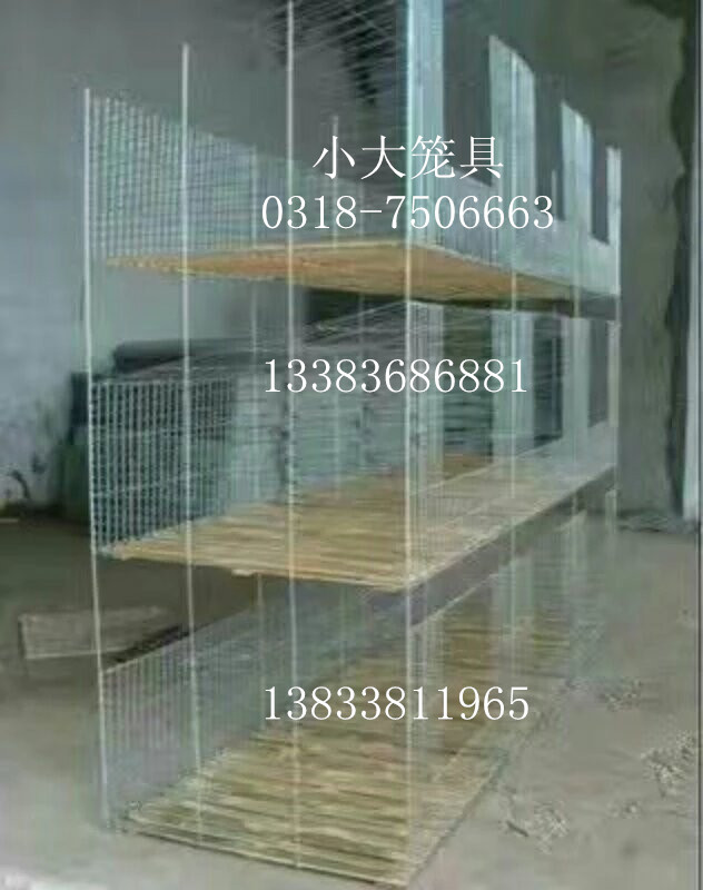 養(yǎng)殖設備雞籠鴿子籠兔子籠*籠狐