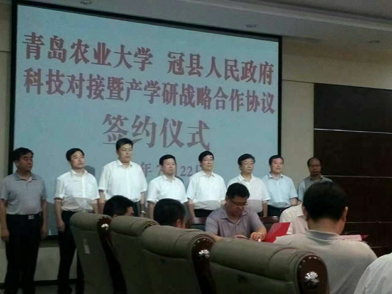 m9t337矮化蘋果苗圖片