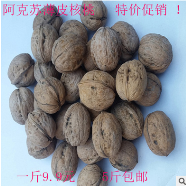 薄皮核桃圖片/薄皮核桃樣板圖 (4)