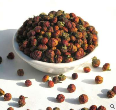 新疆野生胎菊圖片/新疆野生胎菊樣板圖 (4)