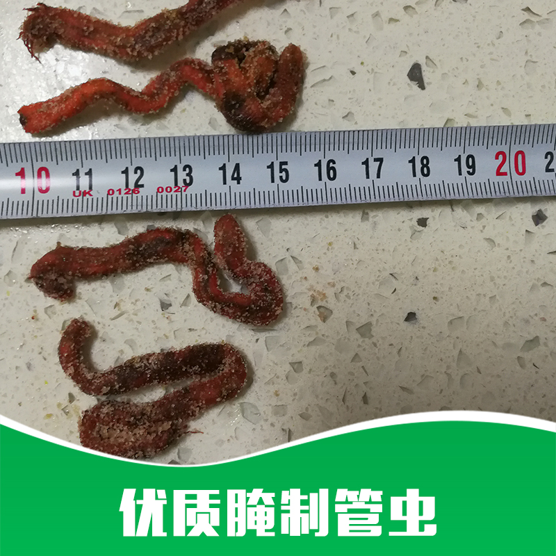 腌制管蟲 優(yōu)質(zhì)腌制管蟲 腌制管蟲的價(jià)格 腌制管蟲公司 腌制管蟲批發(fā)商 廠家直銷 品質(zhì)保障